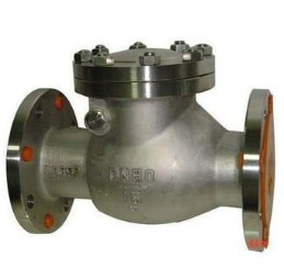 Stainless steel GB check valve